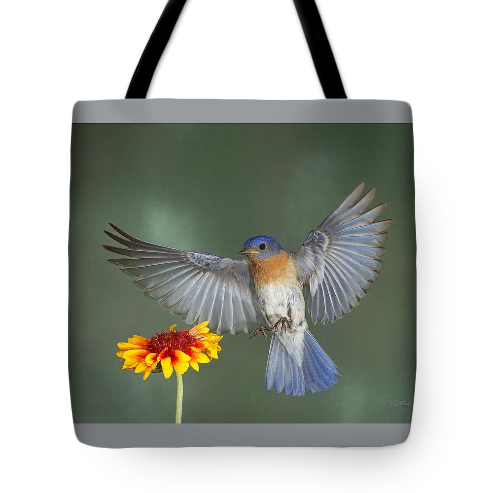 Nature Tote Bag featuring the photograph Hard Working Papa by Gerry Sibell