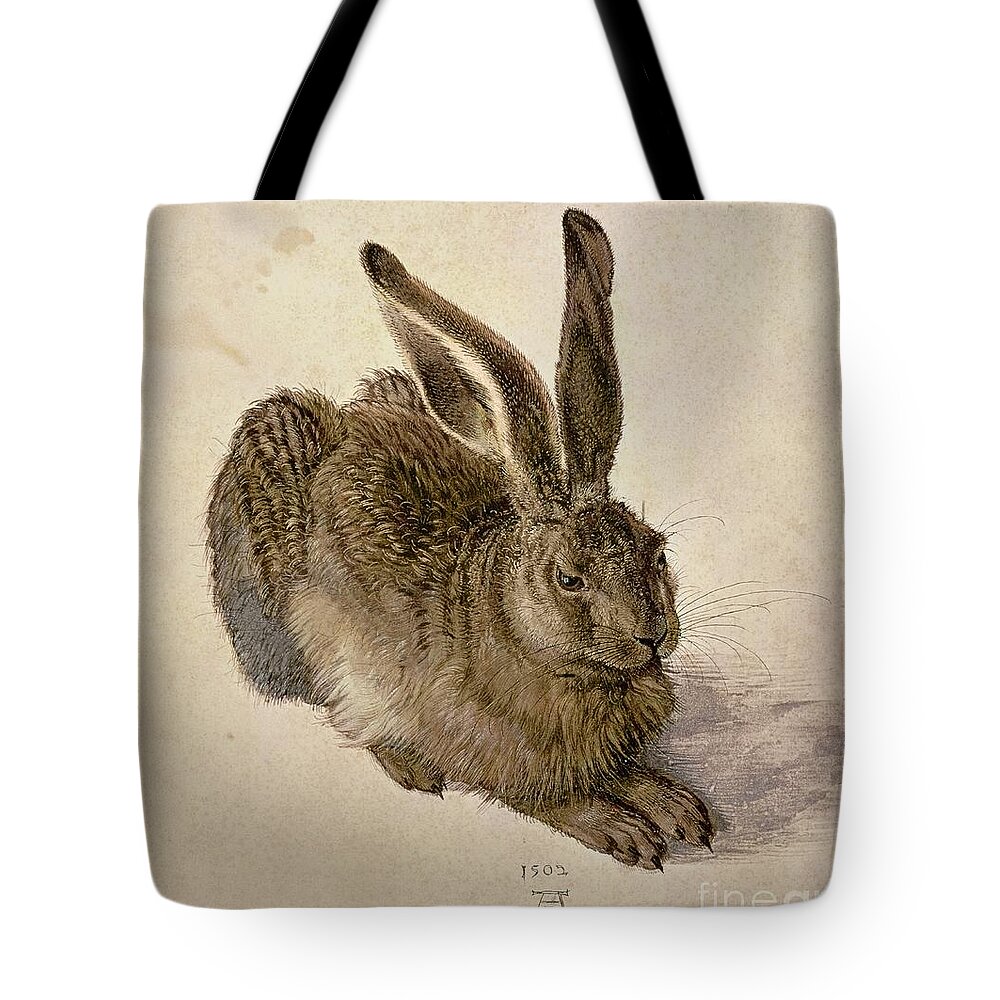 Hare Tote Bag featuring the painting Hare by Albrecht Durer