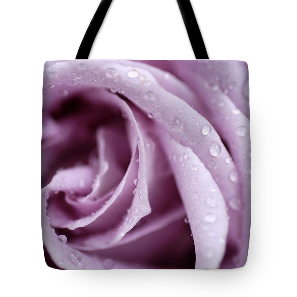 Rose Tote Bag featuring the photograph Harmony by DArcy Evans