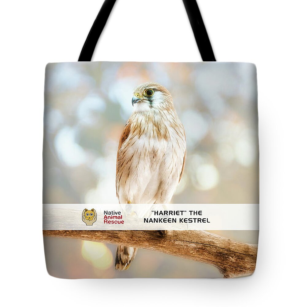 Mad About Wa Tote Bag featuring the photograph Harriet the Nankeen Kestrel, Native Animal Rescue by Dave Catley