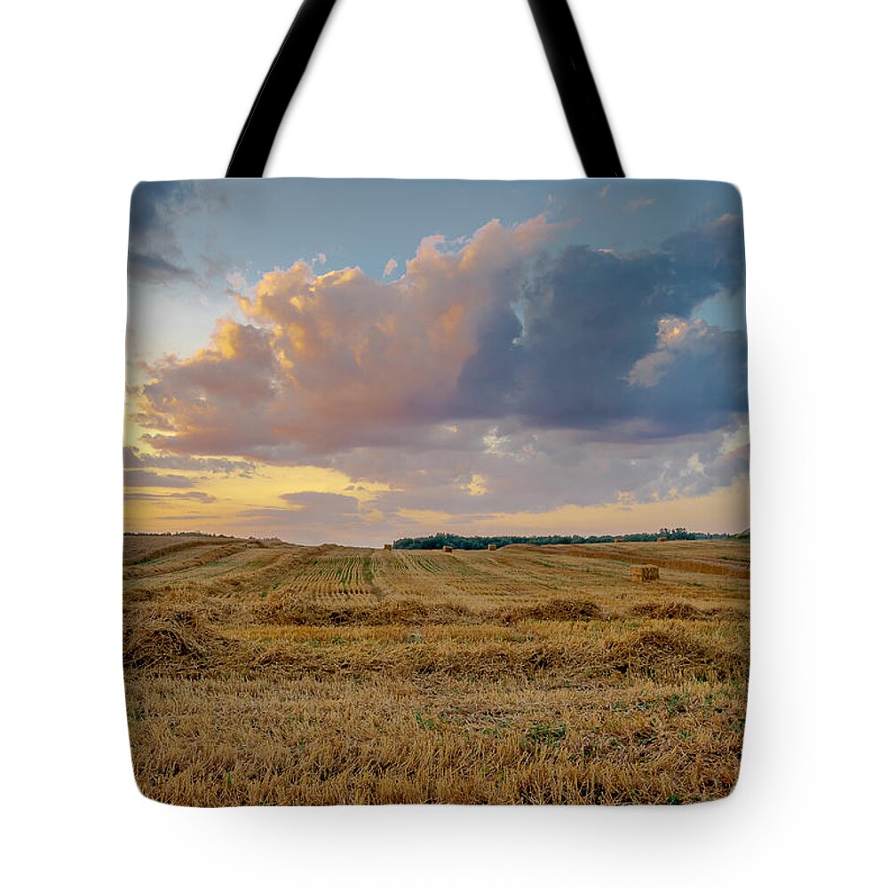 Harvest Tote Bag featuring the photograph Harvest Time by Gary McCormick