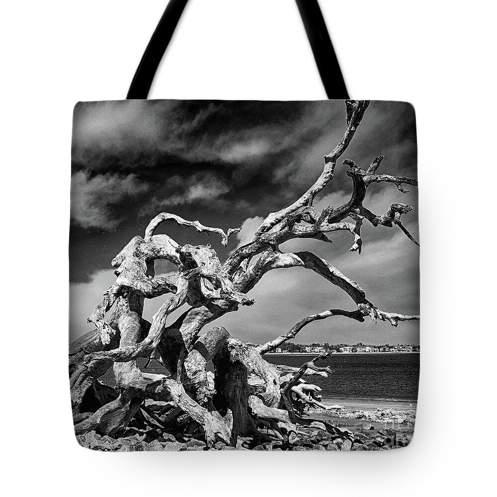 Driftwood Beach Tote Bag featuring the photograph Haunting Beauty by Dawn Gari