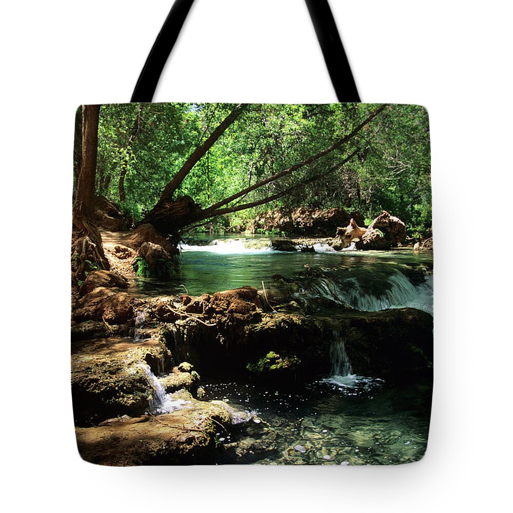 Havasupai Tote Bag featuring the photograph Havasu Creek In Campground by Kathy McClure