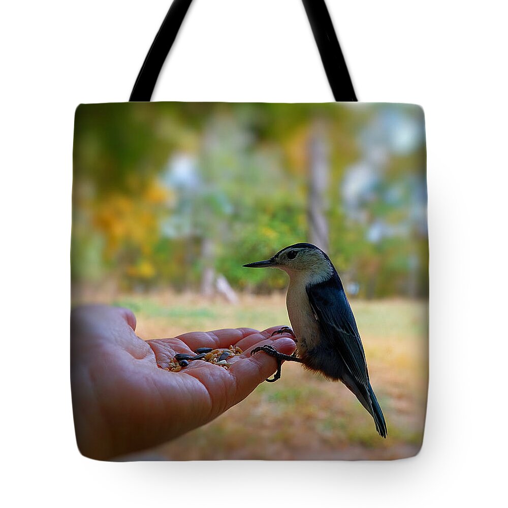 Bird Tote Bag featuring the photograph Have a Seed by Lilia D