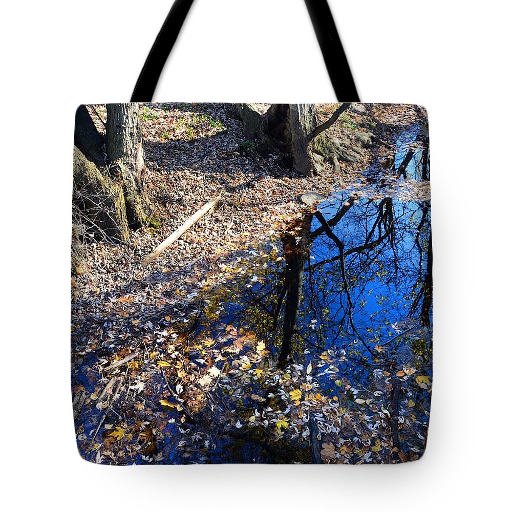 Reflections Tote Bag featuring the photograph Havre de Grace, MD - Reflections by Cindy Manero