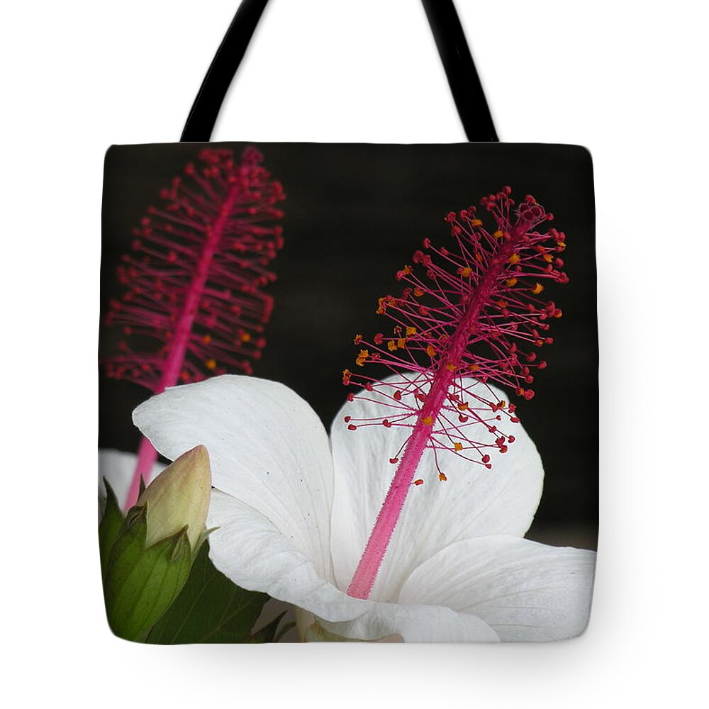  Tote Bag featuring the photograph Hawaii Flower by Diane Lesser