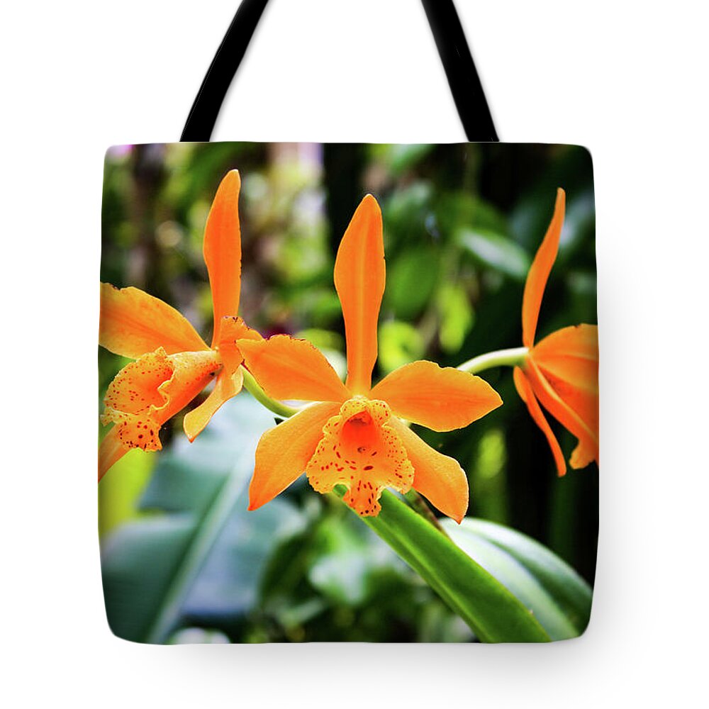 Orchid Tote Bag featuring the photograph Hawaii Orchid 2 by Matt Sexton