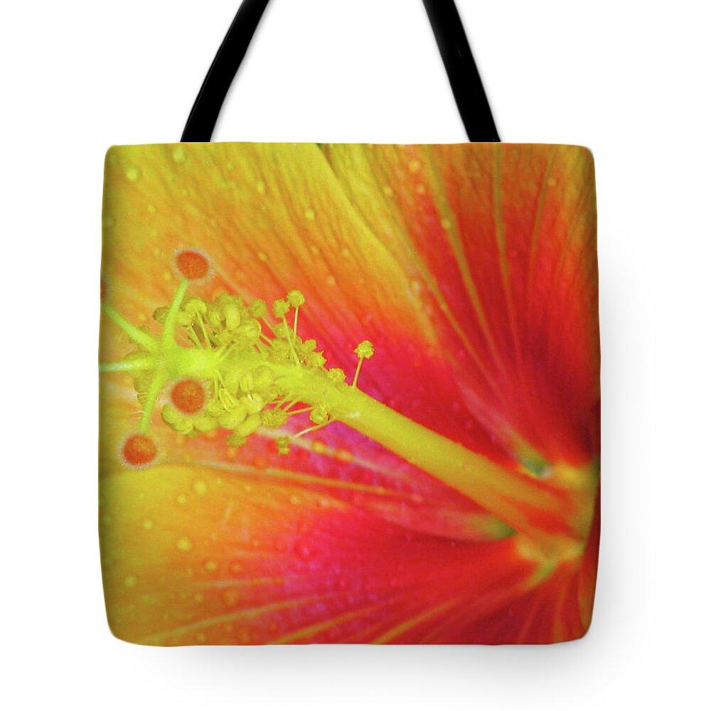 Hibiscus Tote Bag featuring the photograph Hawaiian Hibiscus - Orange 01 - Kauai, Hawaii by Pamela Critchlow