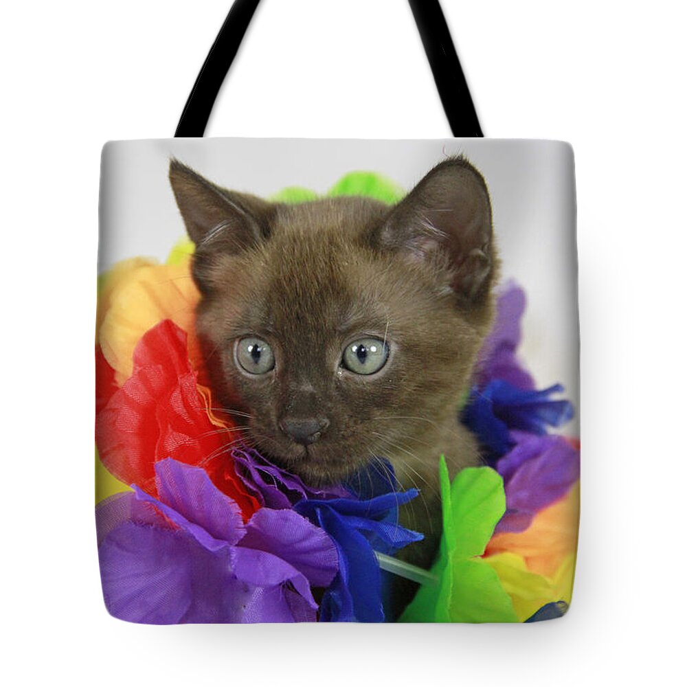 Bengal Tote Bag featuring the photograph Hawaiian Kitty by Shoal Hollingsworth