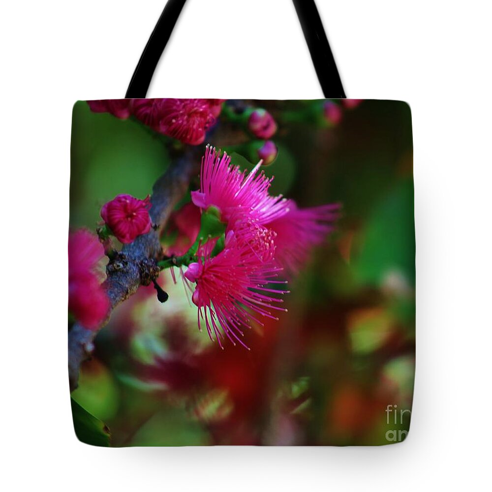 Apple Blossoms Tote Bag featuring the photograph Hawaiian Mountain Apple Blossoms by Craig Wood