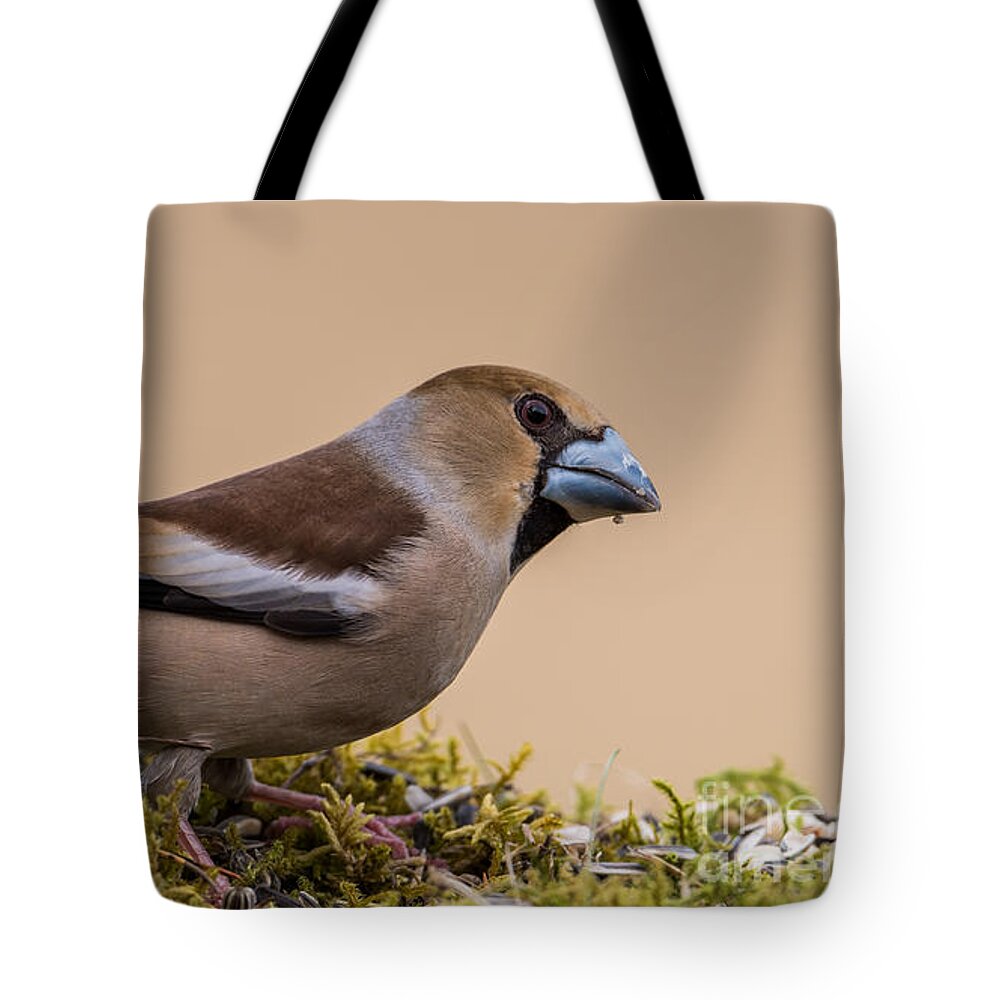 Hawfinch's Beak Tote Bag featuring the photograph Hawfinch's beak by Torbjorn Swenelius