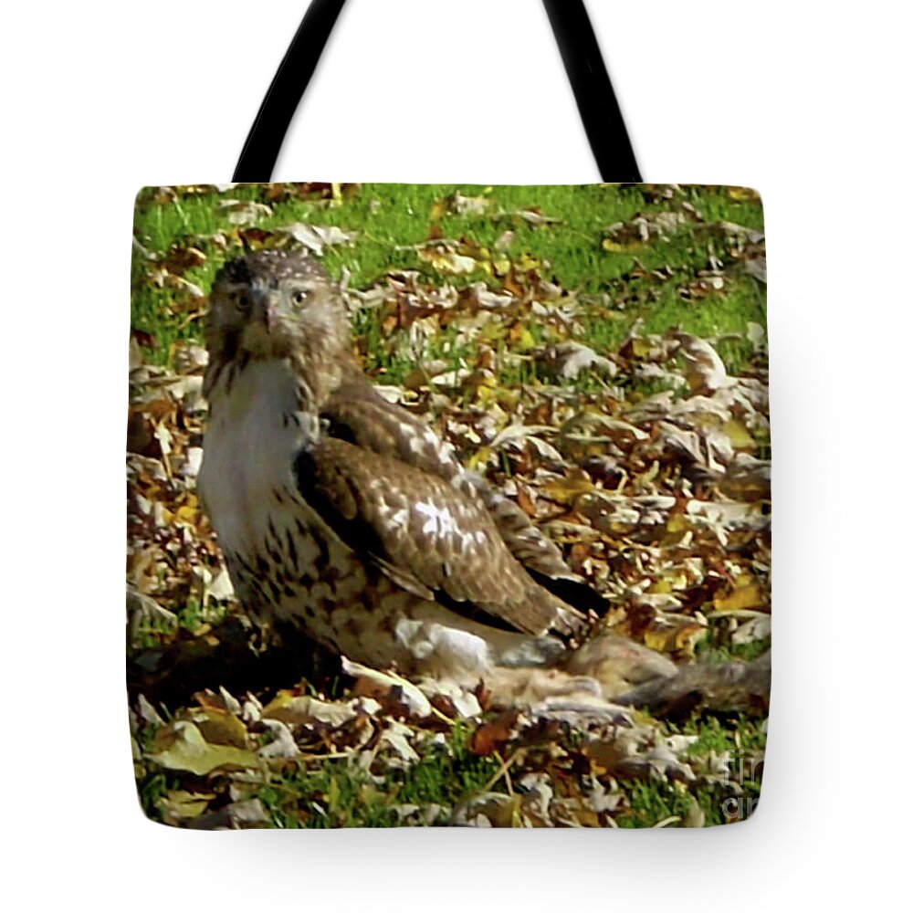 Hawk Falling Leaves Tote Bag featuring the photograph Hawk Falling Leaves by Rockin Docks Deluxephotos