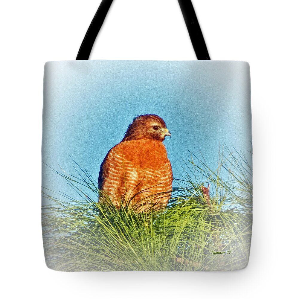 Wildlife Tote Bag featuring the photograph Hawk High by T Guy Spencer