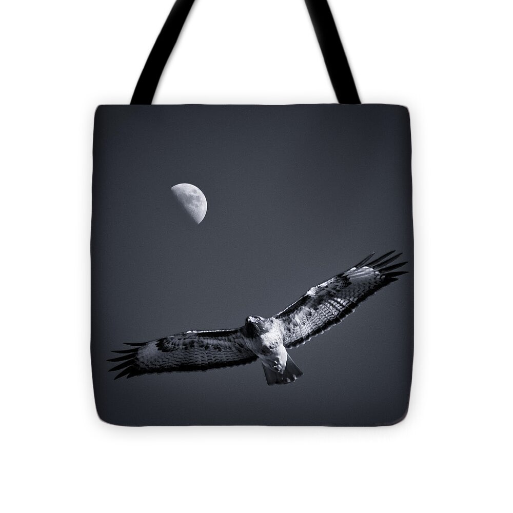 Hawk Tote Bag featuring the photograph Hawk Soaring High by Lawrence Knutsson