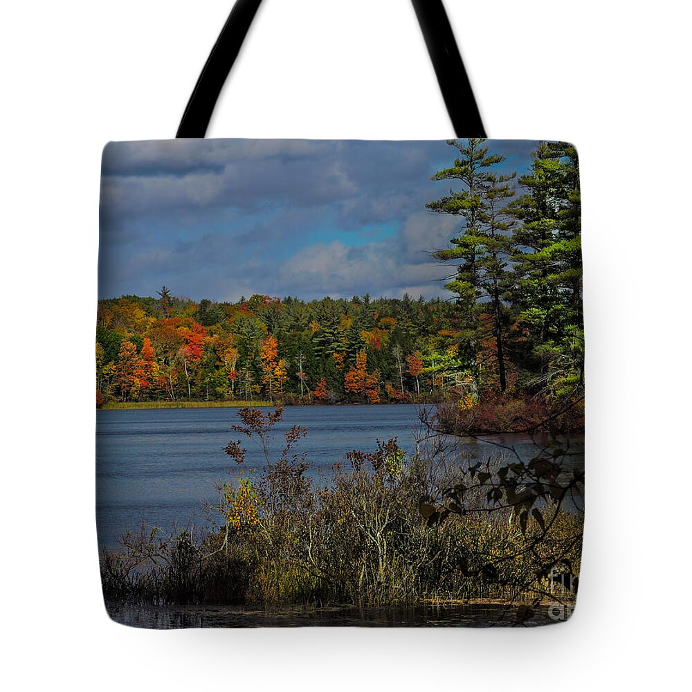Pond Tote Bag featuring the photograph Hawkins Pond- Center Harbor N H by Mim White