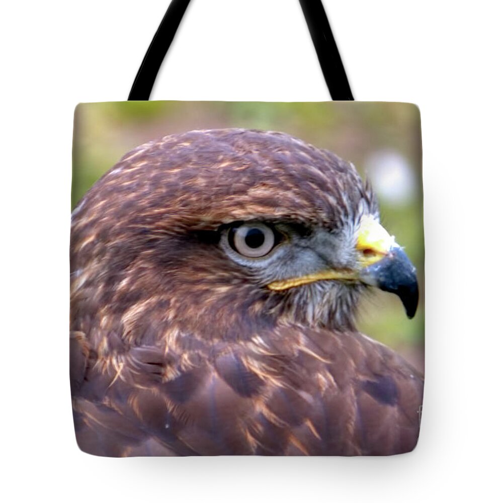 Bird Tote Bag featuring the photograph Hawks eye view by Stephen Melia