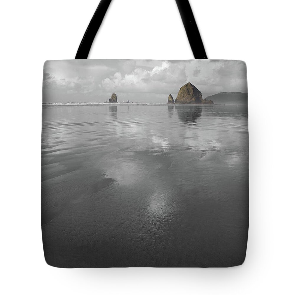 Haystack Shell Tote Bag featuring the photograph Haystack Shell by Dylan Punke
