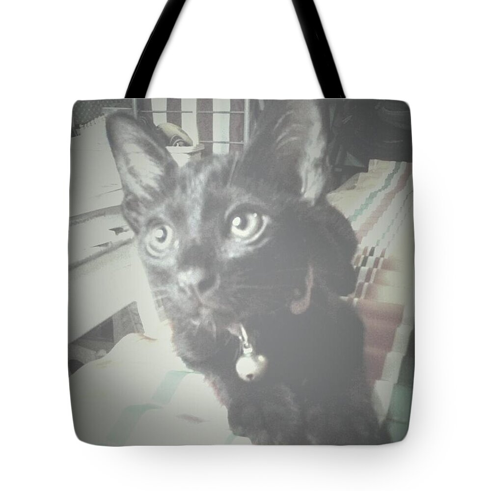 Black Tiger Tote Bag featuring the photograph He Is Black Tiger by Sukalya Chearanantana