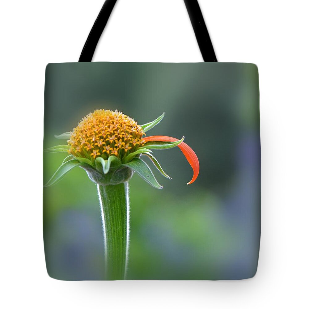 Flower Tote Bag featuring the photograph He Loves Me by Carolyn Mickulas