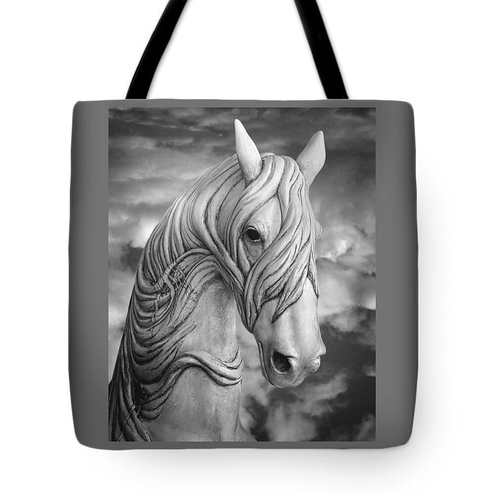 Head In The Clouds Tote Bag featuring the photograph Head In The Clouds by Wes and Dotty Weber