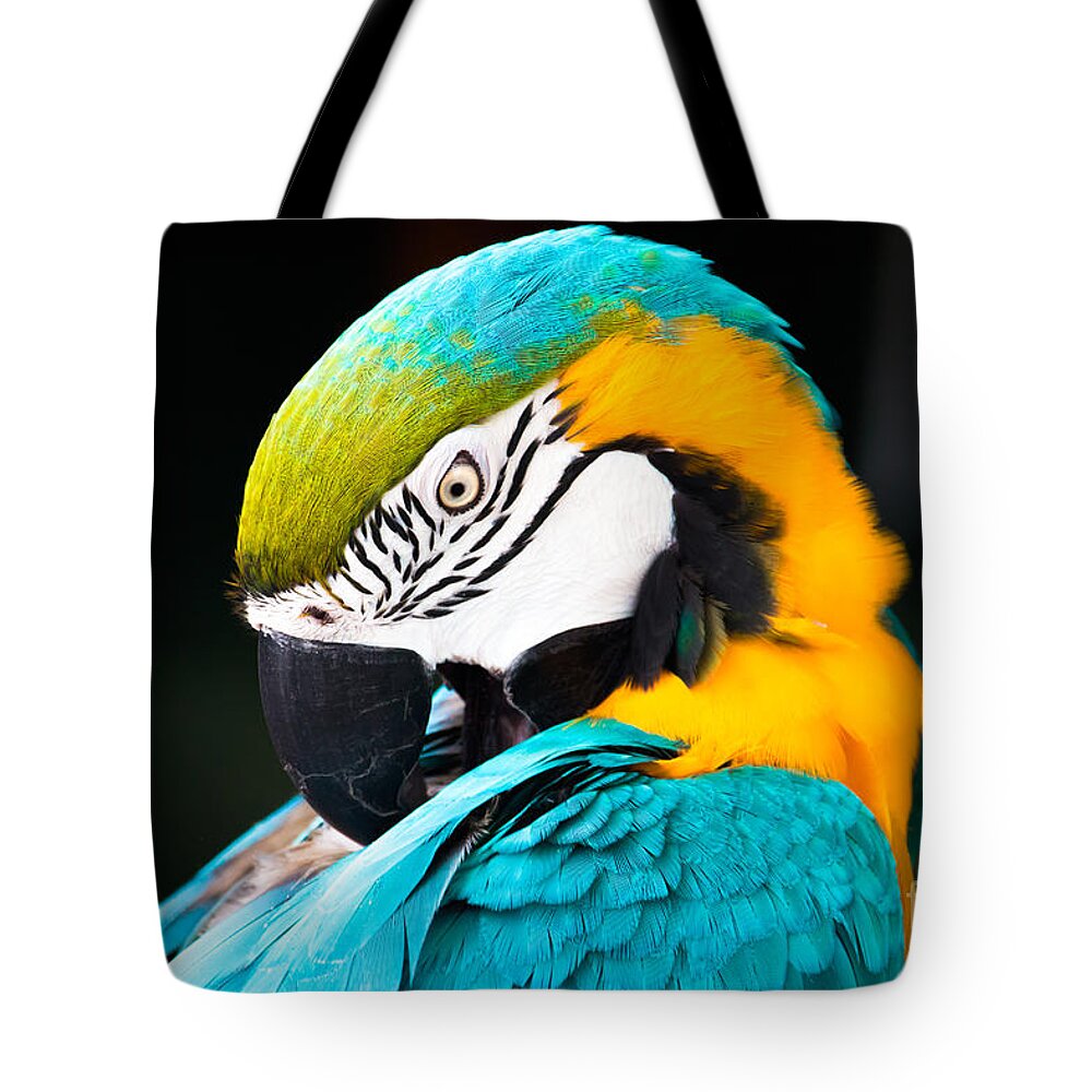 Animal Tote Bag featuring the photograph Head of parrot by Amanda Mohler