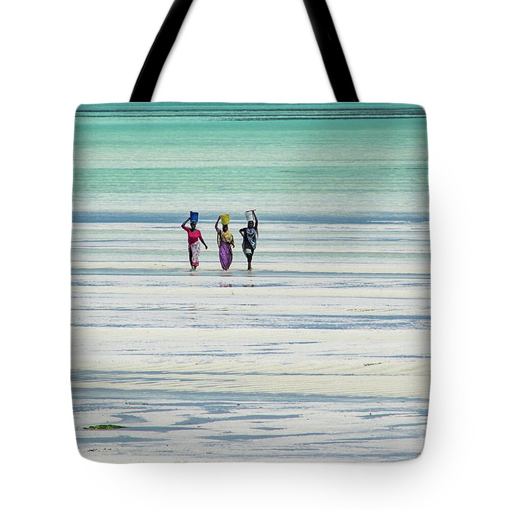  Tote Bag featuring the photograph Heads transports by Mache Del Campo