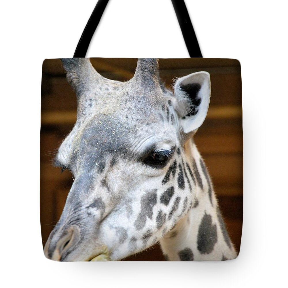Animals Tote Bag featuring the photograph Heads Up by Charles HALL