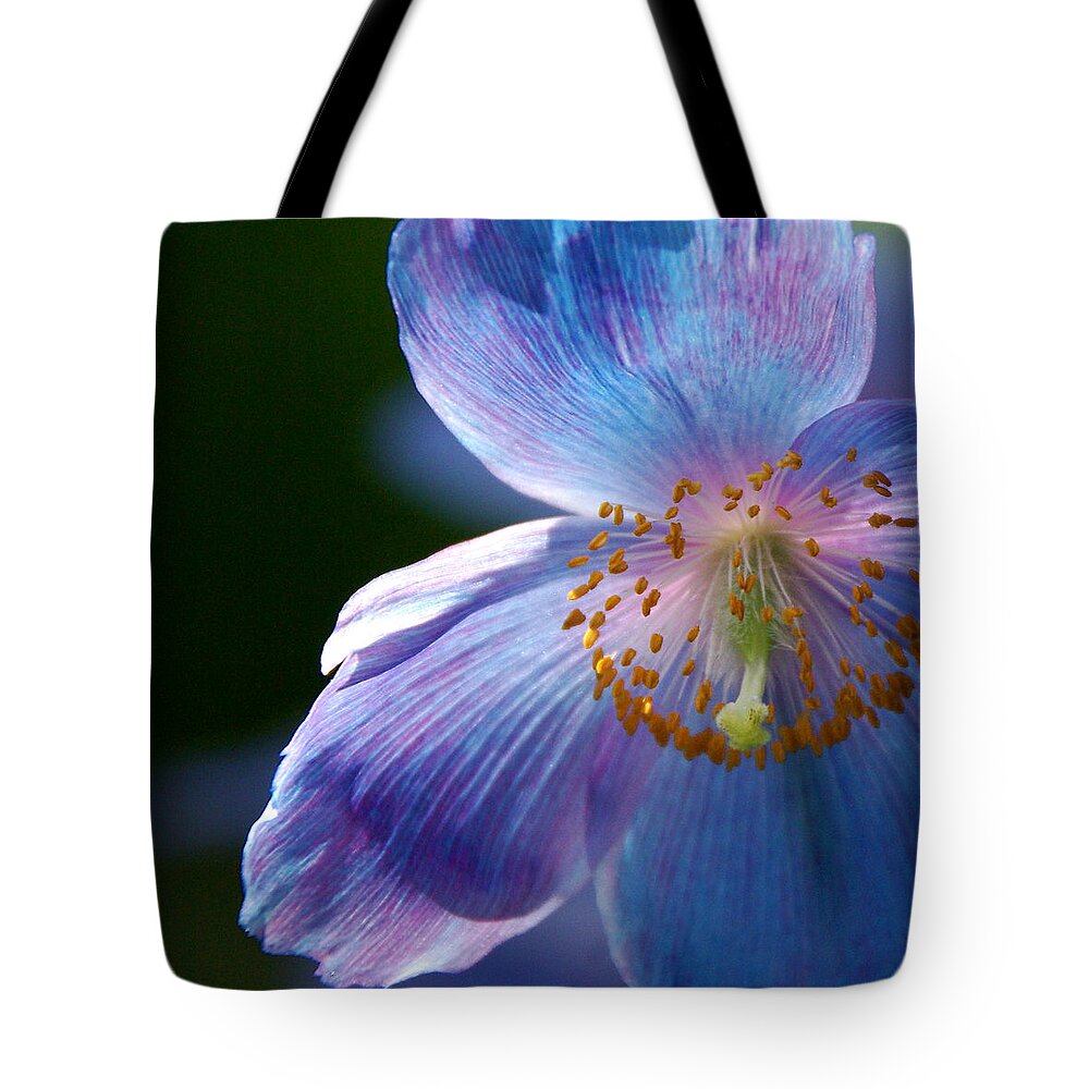 Himalayan Poppy Tote Bag featuring the photograph Healing Light by Byron Varvarigos