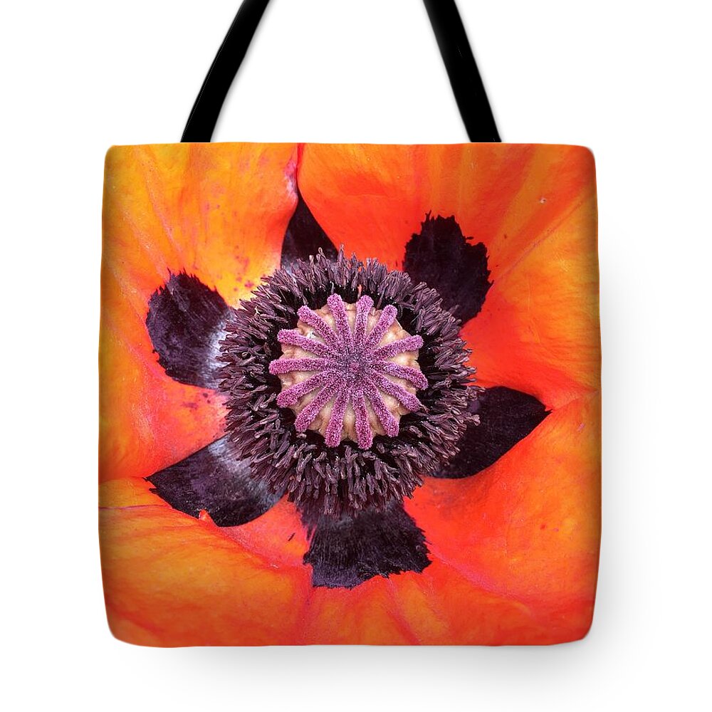 Orphelia Aristal Tote Bag featuring the photograph Heart of a Poppy by Orphelia Aristal