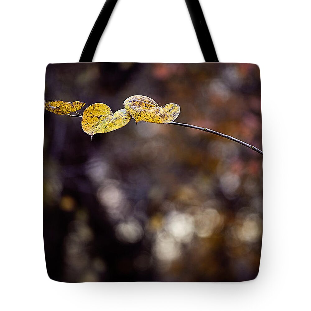 Autumn Tote Bag featuring the photograph Hearts on a branch by Toni Hopper