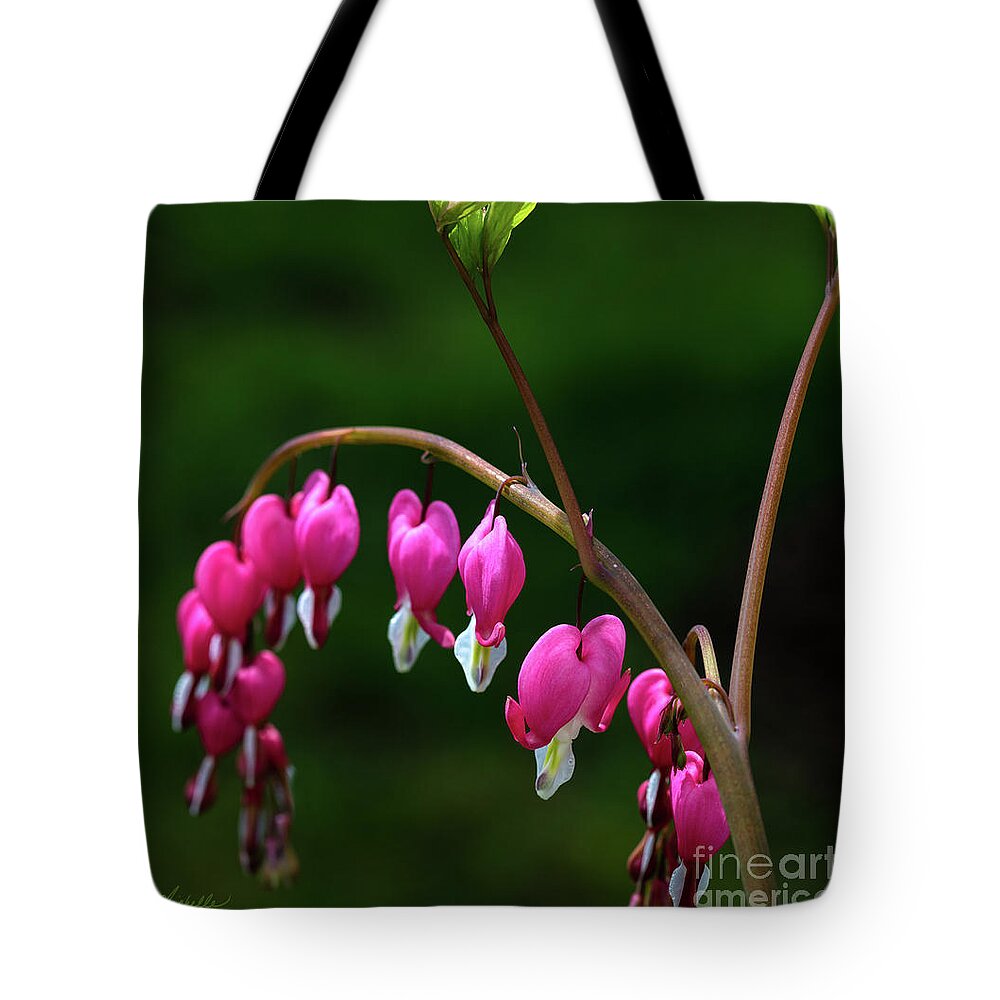 Hearts On A String Tote Bag featuring the photograph Hearts on a String by Michelle Constantine