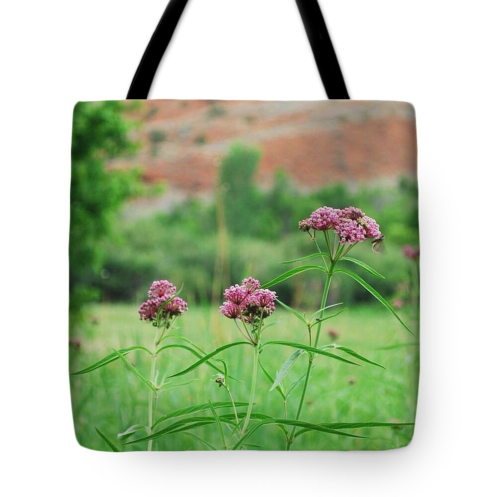 Dinosaur National Monument Tote Bag featuring the photograph Heat Retreat by Brad Hodges