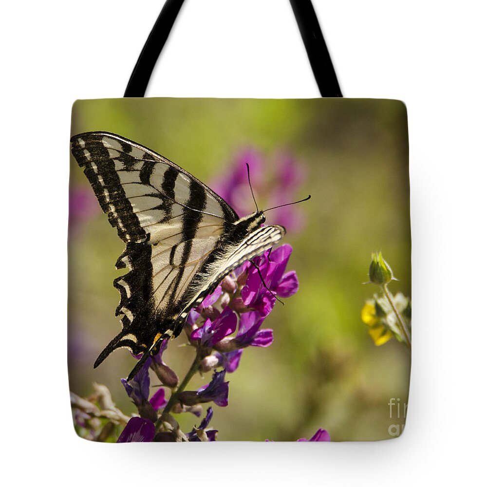 Butterfly Tote Bag featuring the photograph Heaven Sent by Kelly Black