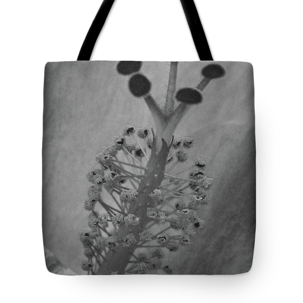 Hibiscus Tote Bag featuring the photograph Heavenly Hibiscus BW 13 by Pamela Critchlow