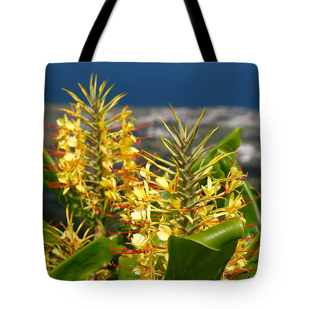 Kahili Ginger Tote Bag featuring the photograph Hedychium gardnerianum by Gaspar Avila