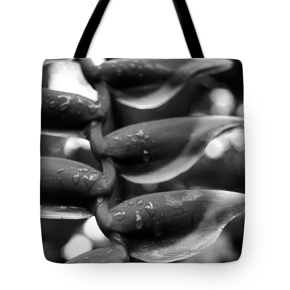 Heliconia Flowers Tote Bag featuring the photograph Heliconia After the Rain by Heidi Fickinger