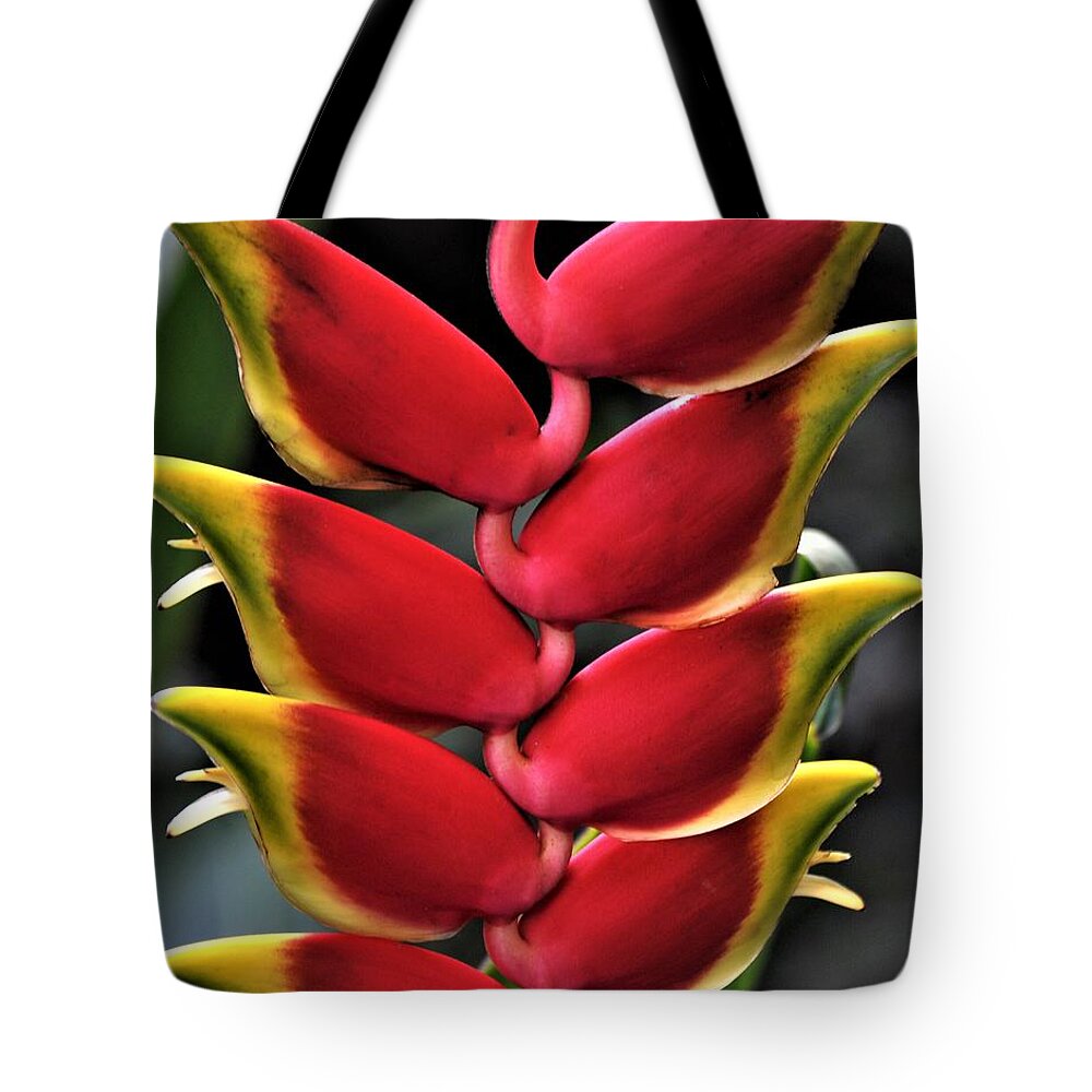 Heliconia Tote Bag featuring the photograph Heliconia Rostrata by Heidi Fickinger