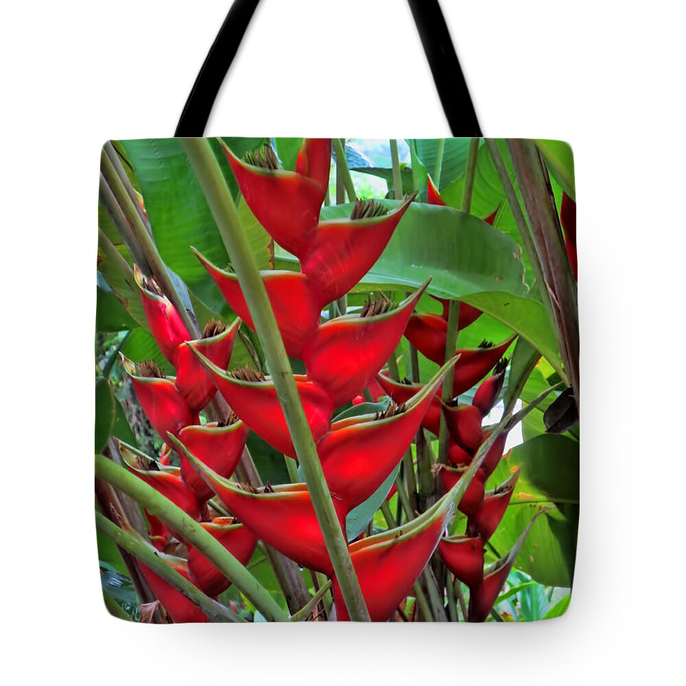  Heliconias Tote Bag featuring the photograph Heliconias by Steven Parker