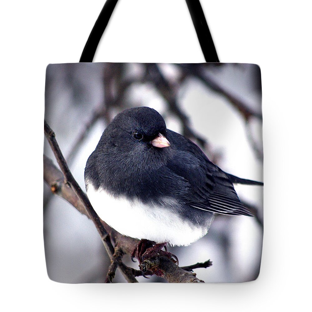 Birds Tote Bag featuring the photograph Hello... by Arthur Miller