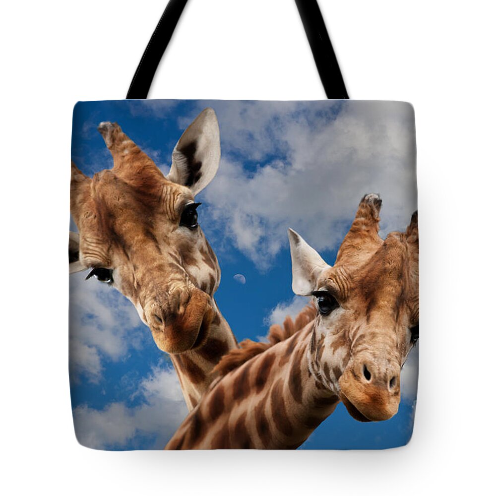 Giraffes Tote Bag featuring the photograph Hello by Christine Sponchia