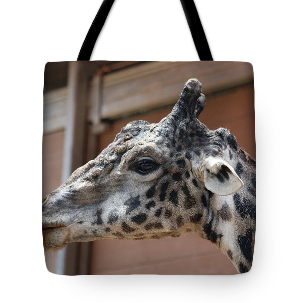 Giraffe Tote Bag featuring the photograph Hello by DiDesigns Graphics
