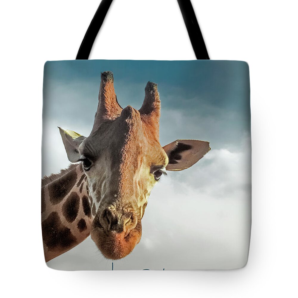 Giraffe Tote Bag featuring the photograph Hello Down There by Karen Lewis
