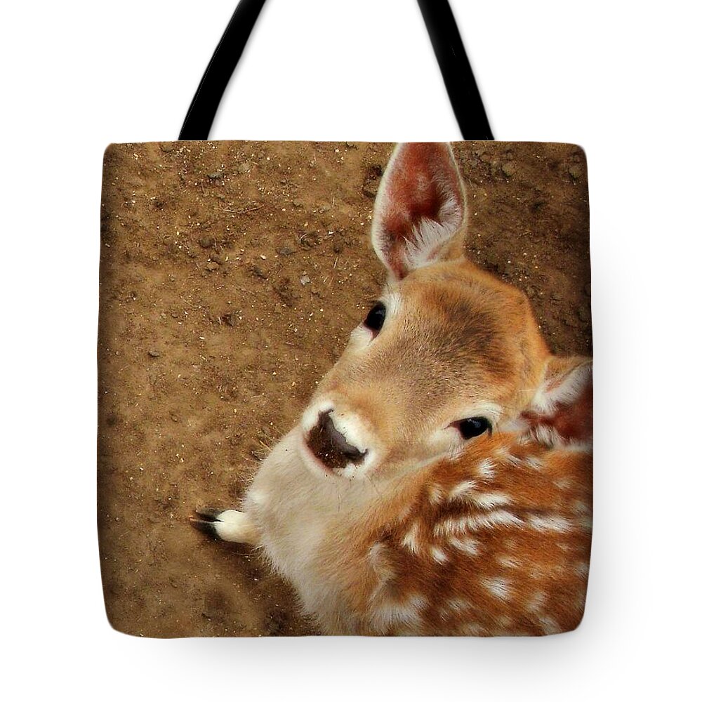 Fawn Tote Bag featuring the photograph Hello by Kristine Nora
