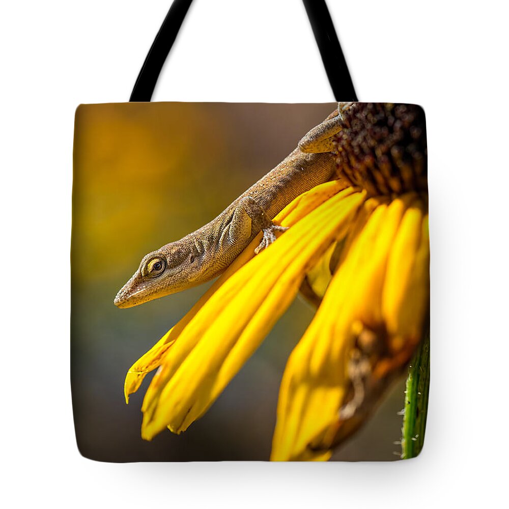 Anole Tote Bag featuring the photograph Hello There by Brad Boland