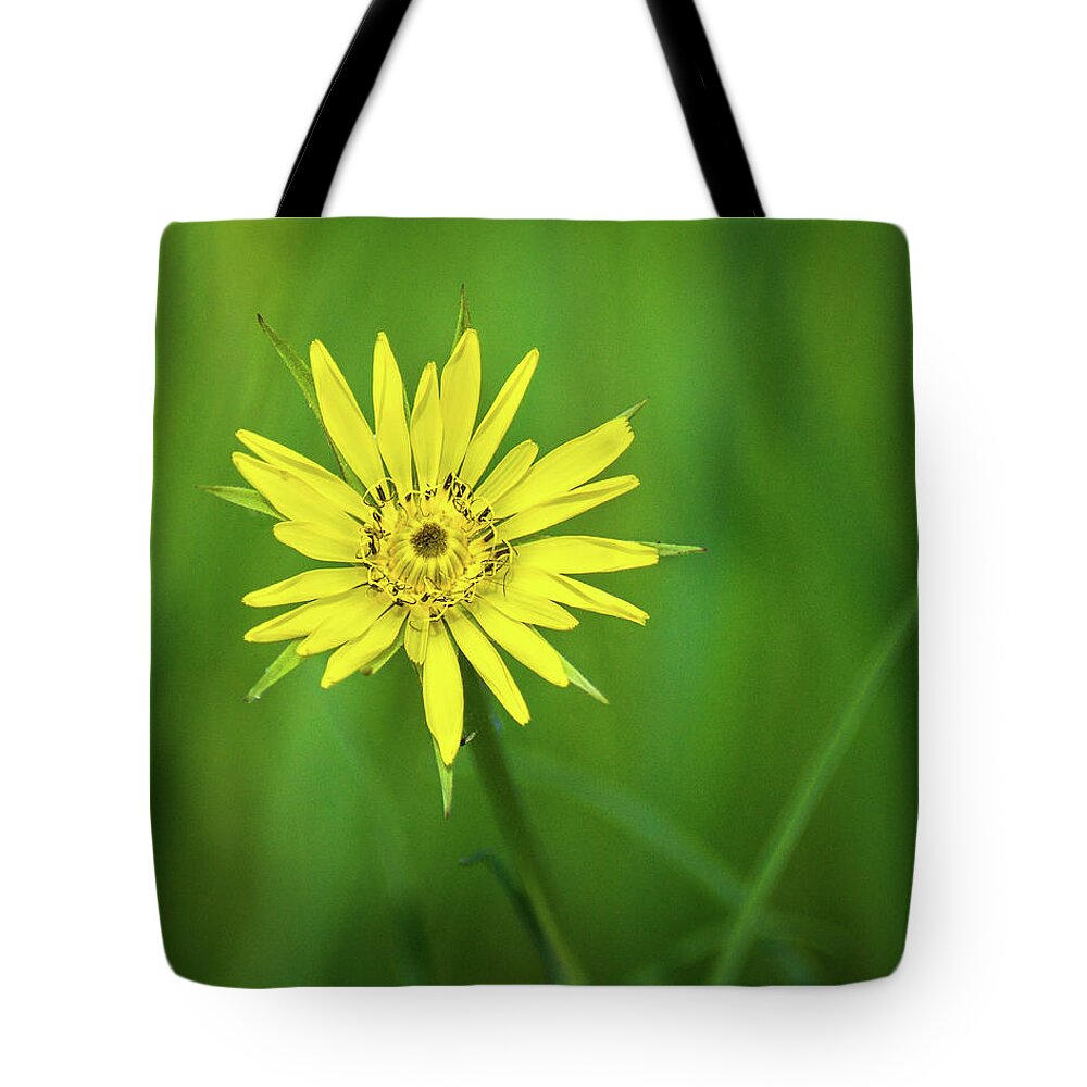 Wildflower Tote Bag featuring the photograph Hello Wild Yellow by Bill Pevlor
