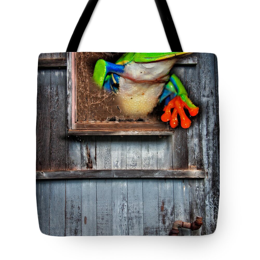 Frog Tote Bag featuring the photograph Hello World by Harry Spitz