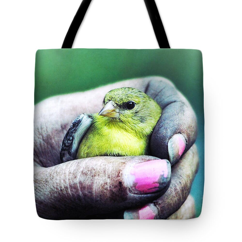 Goldfinch Tote Bag featuring the photograph Helping Hand by Tina LeCour