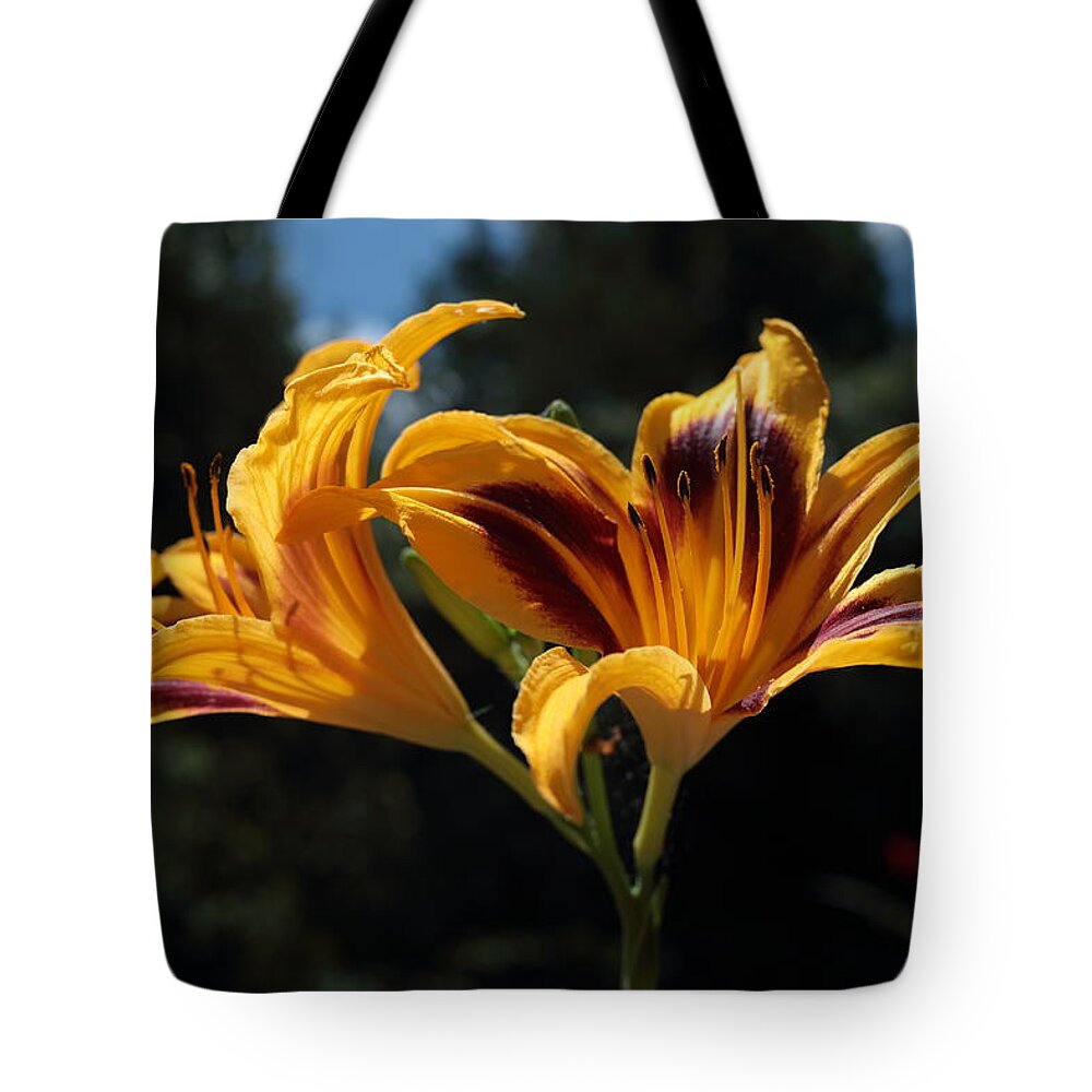 Day-lily Tote Bag featuring the photograph Hemerocallis by John Moyer