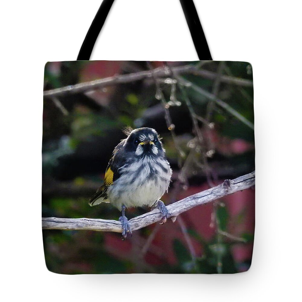 Bird Tote Bag featuring the photograph Henry by Mark Blauhoefer