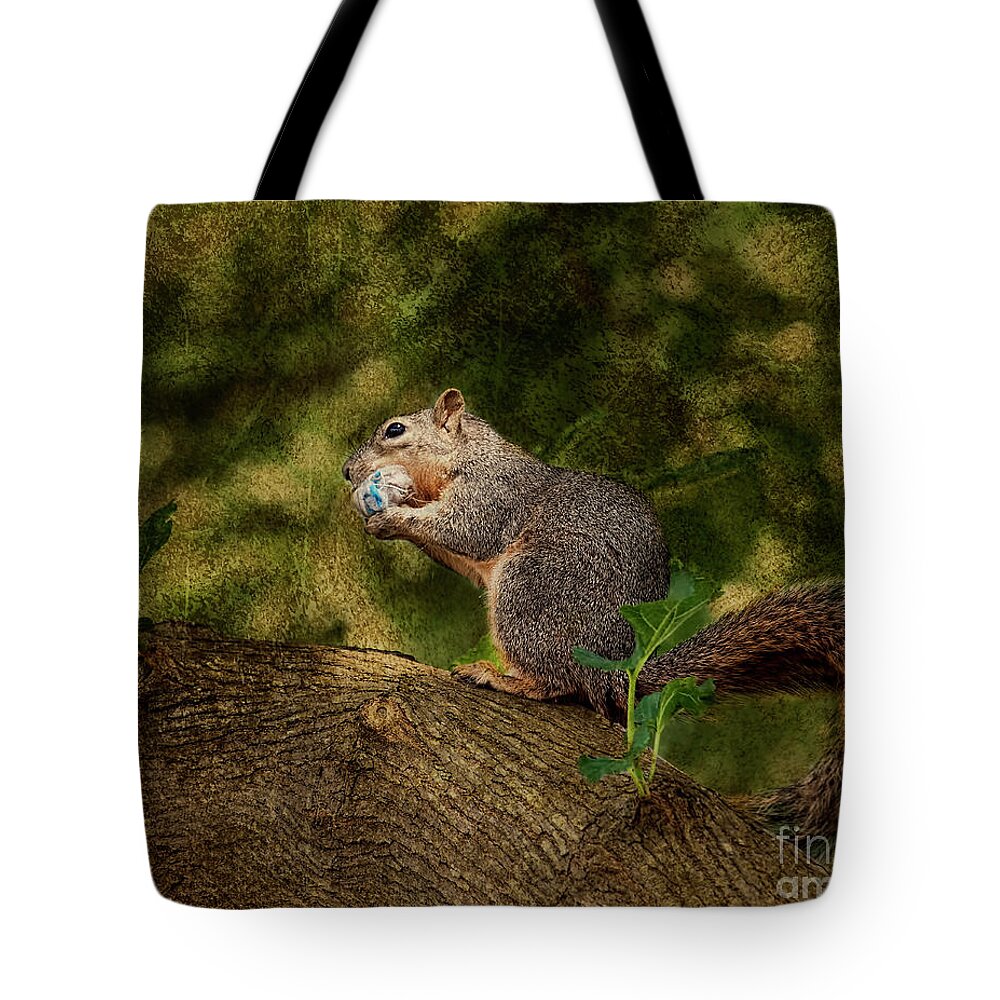 Squirrel Tote Bag featuring the photograph Her Treasure by Joan Bertucci